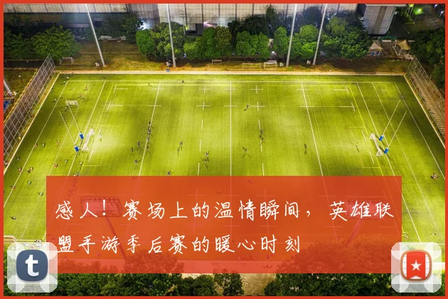感人!赛场上的温情瞬间,英雄联盟手游季后赛的暖心时刻