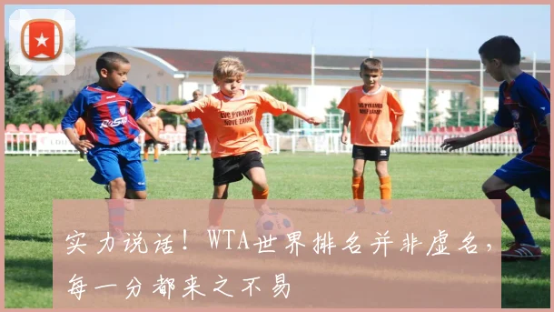 实力说话!WTA世界排名并非虚名,每一分都来之不易